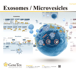 Exosomes & Microvesicles poster