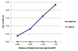 Rabbit Anti-Goat IgG (Fab) antibody, pre-adsorbed (Biotin). GTX04159-02