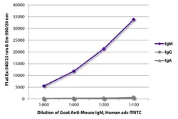 Goat Anti-Mouse IgM (Mu chain) antibody, pre-adsorbed (TRITC). GTX04192-25