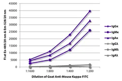 Goat Anti-Mouse kappa light chain antibody, pre-adsorbed (FITC). GTX04201-06